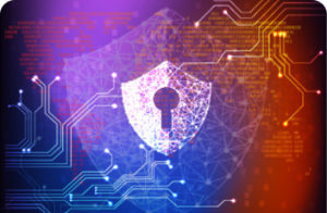 The Web Security Blueprint: Strengthening Platforms for a Resilient Digital Future