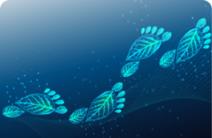 Cloud Emissions Management: A Path to Sustainability