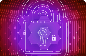 Trust No One: The Wild World Of Zero Trust Security